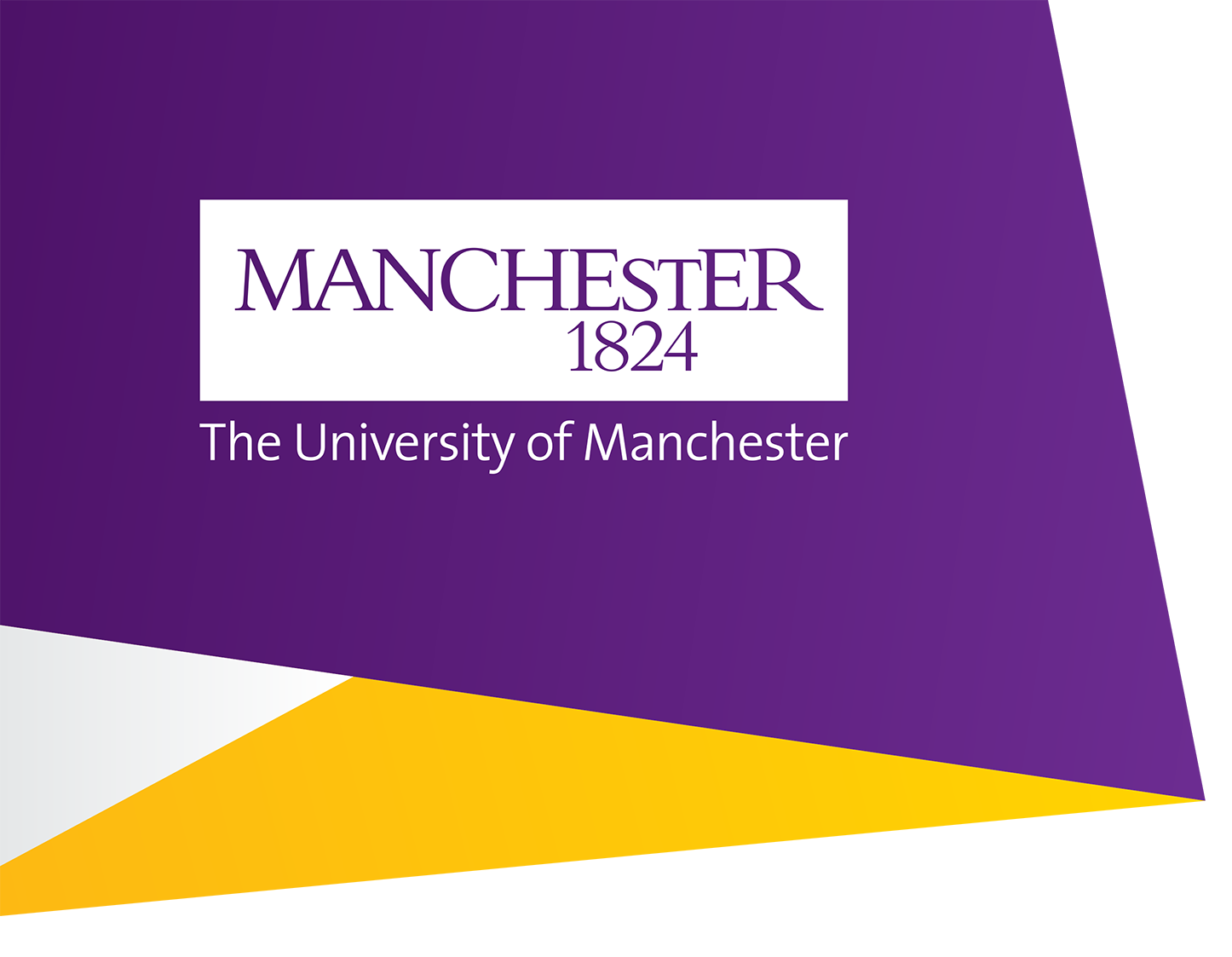 The University of Manchester hosts flagship higher education event in its  200th anniversary year | Times Higher Education (THE)